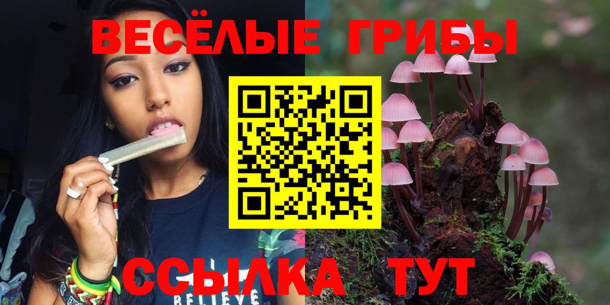 Галлюциногенные грибы Psilocybine cubensis  Вход с VPN  Магнитогорск  Псилоцибиновые грибы мицелий 